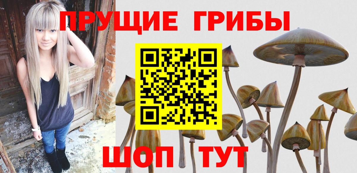 Галлюциногенные грибы Magic Shrooms  что такое наркотик  Кизляр  Вход с VPN 