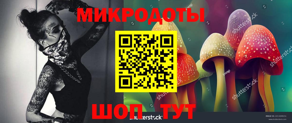 Галлюциногенные грибы MAGIC MUSHROOMS Кизляр